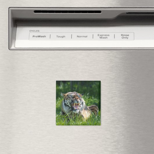 Tiger-Roar Magnet (In Situ (Geschirrspüler))