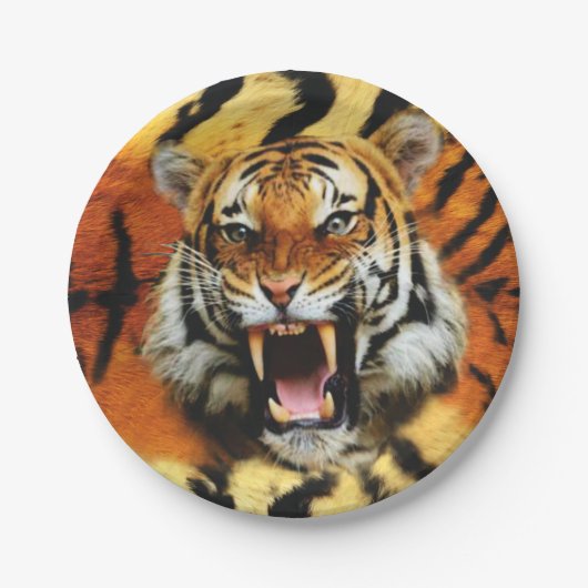 Tiger-Roar Pappteller (Vorderseite)