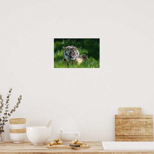 Tiger-Roar Poster (Küche)