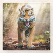 Tiger Roaring in einem Dschungel im Hintergrund Glasuntersetzer (Vorderseite)