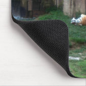 Tiger Roll Mousepad (Ecke)