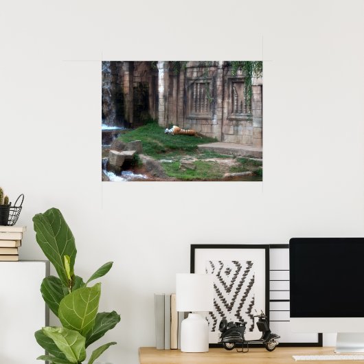 Tiger Roll Poster (Heimbüro)