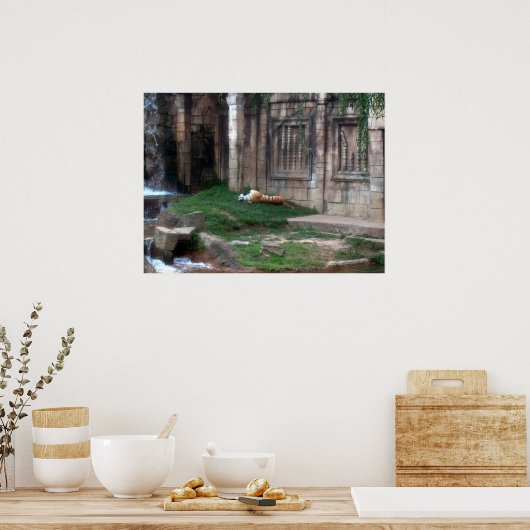 Tiger Roll Poster (Küche)