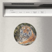 Tiger Royal 3" Magnet (In Situ (Geschirrspüler))