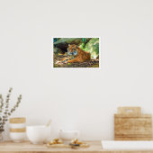 Tiger Ruhen durch Steine Poster (Küche)