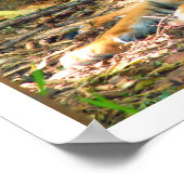 Tiger Ruhen durch Steine Poster (Ecke)