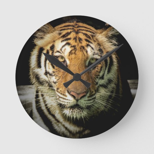 Tiger Runde Wanduhr (Vorderseite)