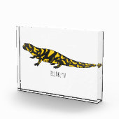 Tiger-Salamander-Cartoon Fotoblock (Rechts)