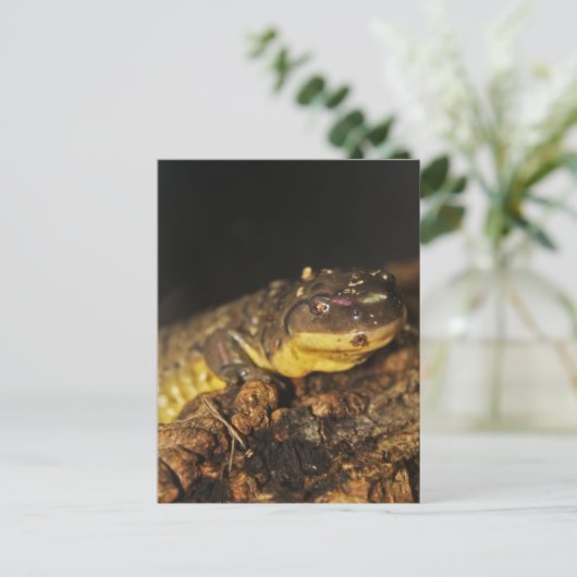 Tiger Salamander Postkarte (Stehend Vorderseite)