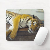 Tiger, Samui, Thailand Mousepad (Mit Mouse)