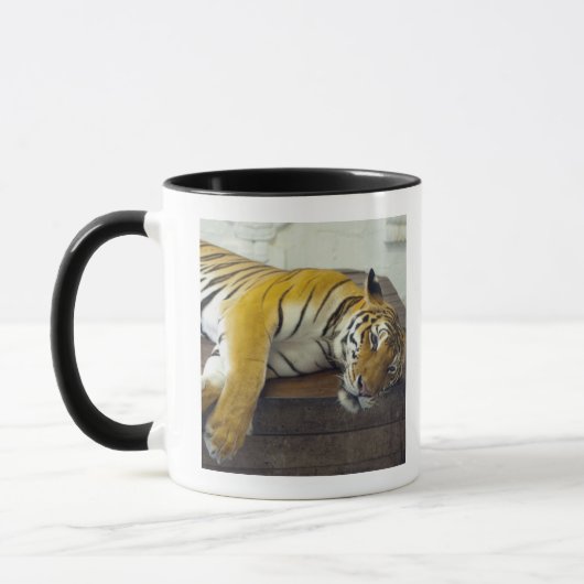 Tiger, Samui, Thailand Tasse (Links)