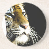 Tiger Sandstein Untersetzer (Vorne)