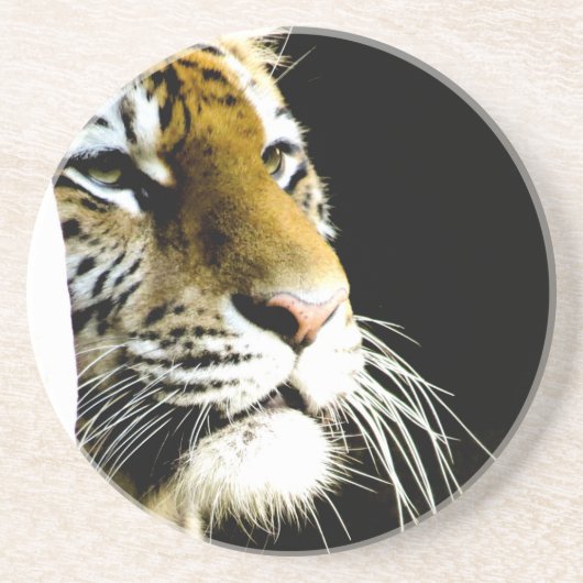 Tiger Sandstein Untersetzer (Vorne)