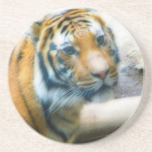 Tiger Sandstein Untersetzer