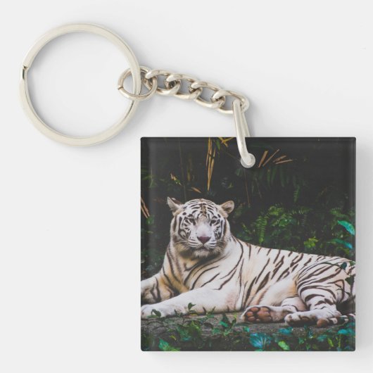 Tiger Schlüsselanhänger (Vorderseite)