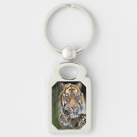 Tiger Schlüsselanhänger (Vorderseite)