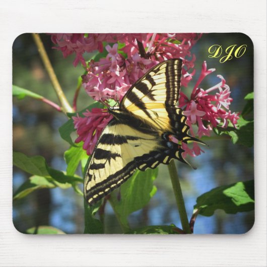 Tiger-Schmetterling auf Flieder Mousepad (Vorne)
