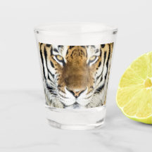 Tiger-Schnapsglas