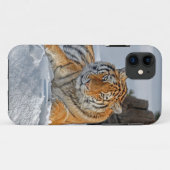 Tiger-Schnee-Porträt Case-Mate iPhone Hülle (Rückseite (Horizontal))