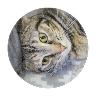 Tiger Schneidebrett
