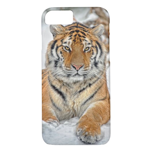 Tiger-Schönheit im Schnee Case-Mate iPhone Hülle (Rückseite)