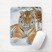 Tiger-Schönheit im Schnee Mousepad (Mit Mouse)