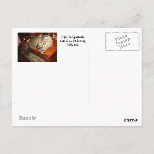 Tiger Schwanz Postkarte (Rückseite)