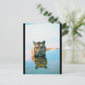 Tiger Schwimmen Postkarte (Stehend Vorderseite)