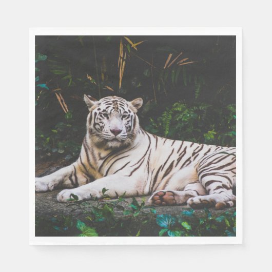 Tiger Serviette (Vorderseite)