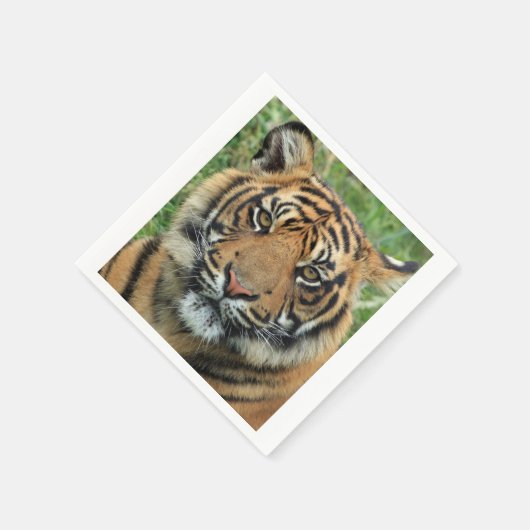 Tiger Serviette (Ecke)