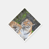 Tiger Serviette (Ecke)