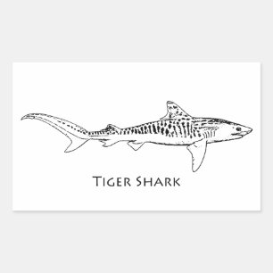 Tiger Shark Illustration Rechteckiger Aufkleber