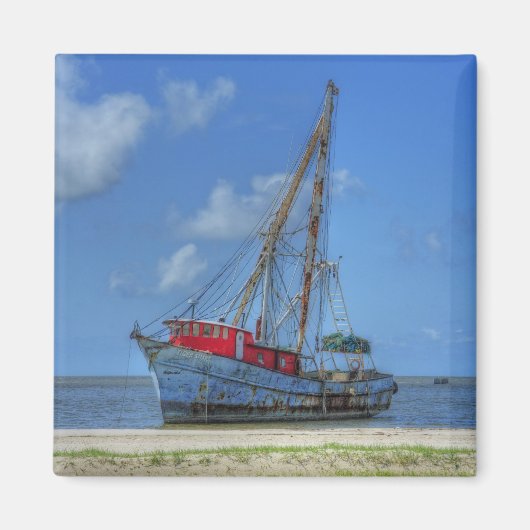 Tiger Shark Magnet (Vorne)