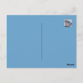 Tiger Shark Postkarte (Rückseite)