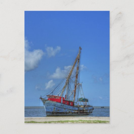 Tiger Shark Postkarte (Vorderseite)