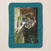 Tiger Sherpadecke (Vorderseite)