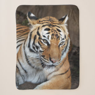 Tiger Sherpadecke