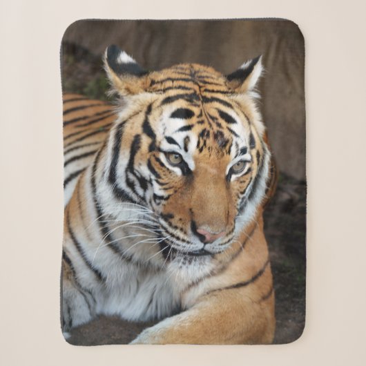 Tiger Sherpadecke (Vorderseite)