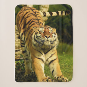 Tiger Sherpadecke