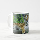Tiger, sibirisch kaffeetasse (Vorderseite Links)