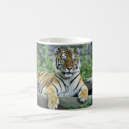 Tiger, sibirisch kaffeetasse (Mittel)