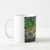 Tiger, sibirisch kaffeetasse (Links)