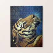Tiger Sideways Foto Puzzle (Vertikal)