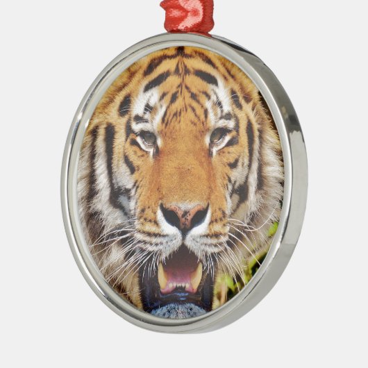 Tiger Silbernes Ornament (Links)