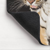 Tiger sitzend auf Plattform 2 Mousepad (Ecke)