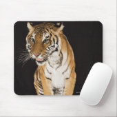 Tiger sitzend auf Plattform 2 Mousepad (Mit Mouse)