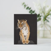 Tiger sitzend auf Plattform 2 Postkarte (Stehend Vorderseite)