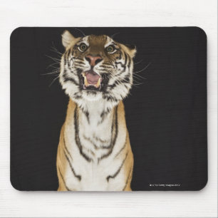 Tiger sitzt auf Plattform Mousepad