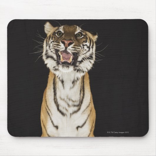 Tiger sitzt auf Plattform Mousepad (Vorne)