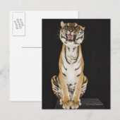 Tiger sitzt auf Plattform Postkarte (Vorne/Hinten)
